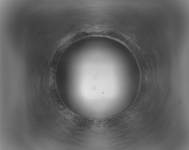 X0000067331350200603311049