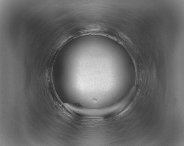 X0000067331353200603311049