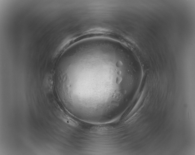 X0000067331355200603311049