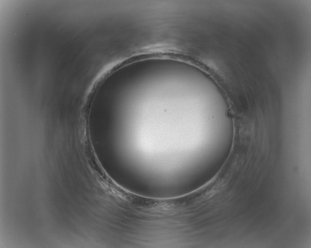 X0000067331358200603311049