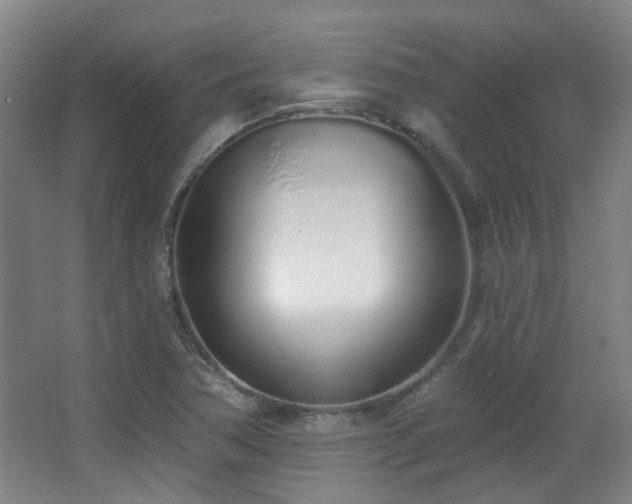 X0000067331362200603311049