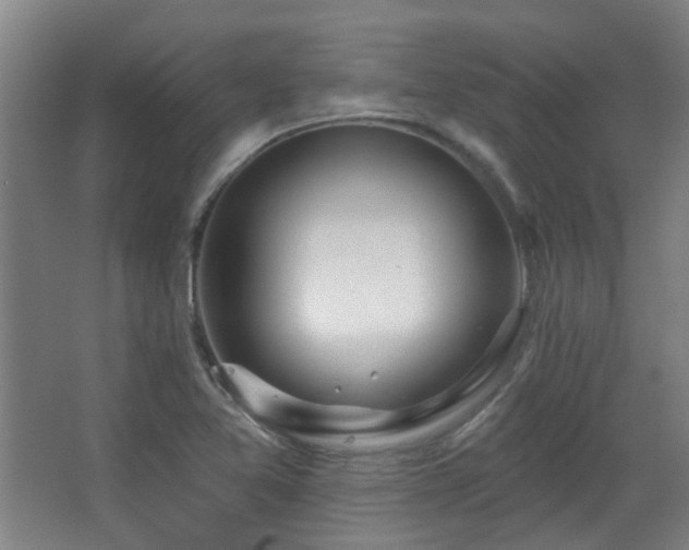 X0000067331365200603311049