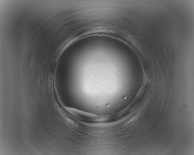 X0000067331369200603311049