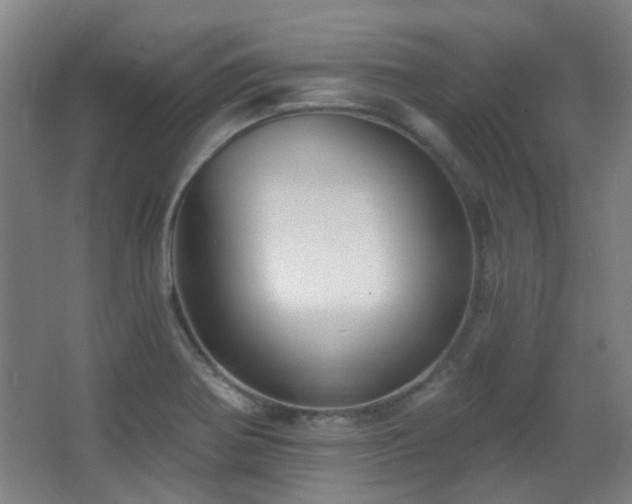 X0000067331370200603311049