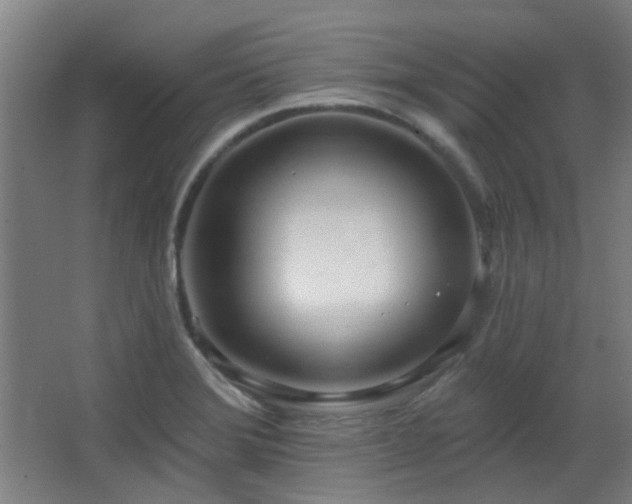 X0000067331372200603311049