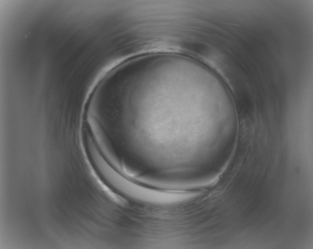 X0000067331379200603311049