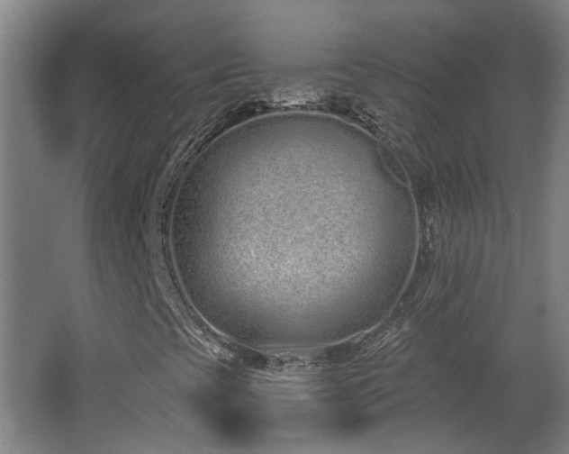 X0000067331393200603311048
