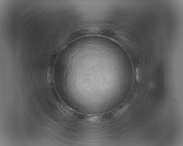 X0000067331395200603311048