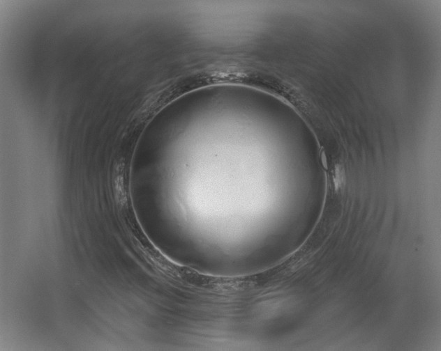 X0000067331396200603311048