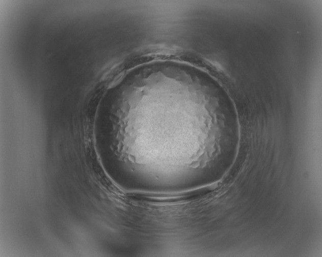 X0000067331399200603311048