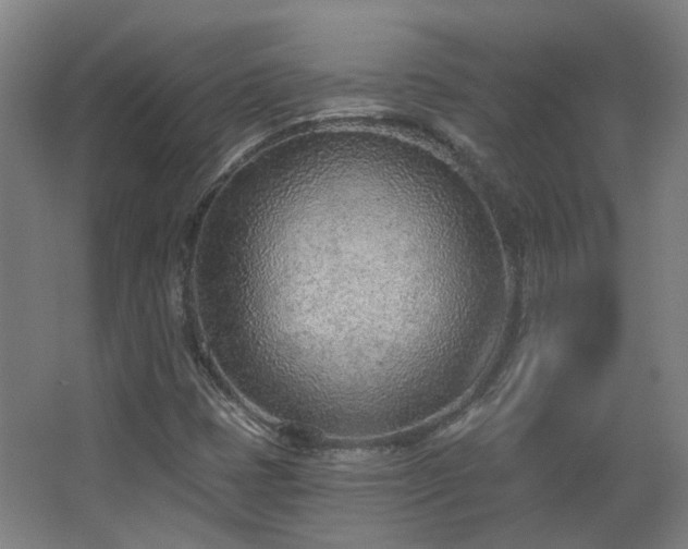 X0000067331401200603311048