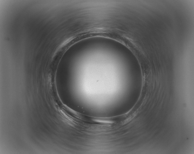 X0000067331402200603311048