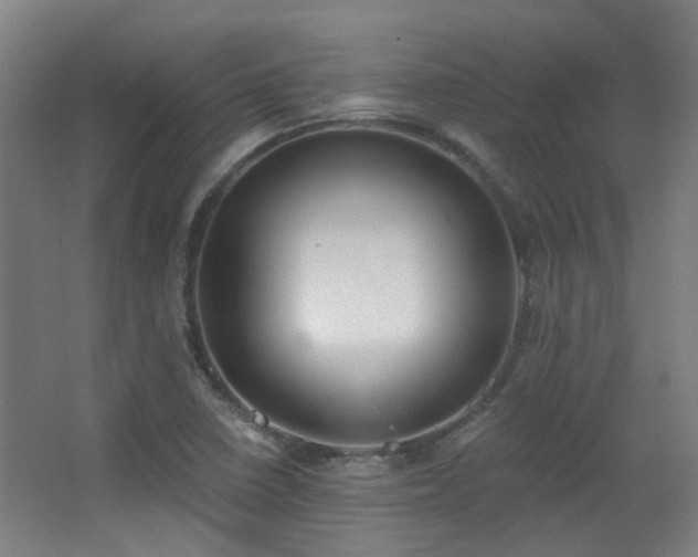 X0000067331410200603311048