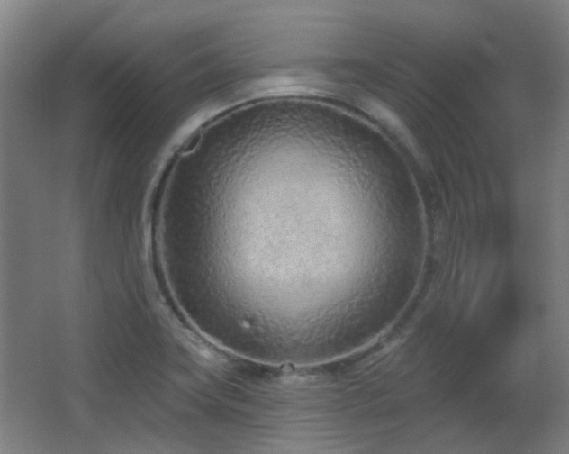 X0000067331419200603311048