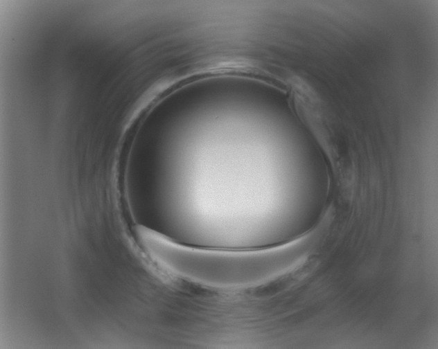 X0000067331422200603311048