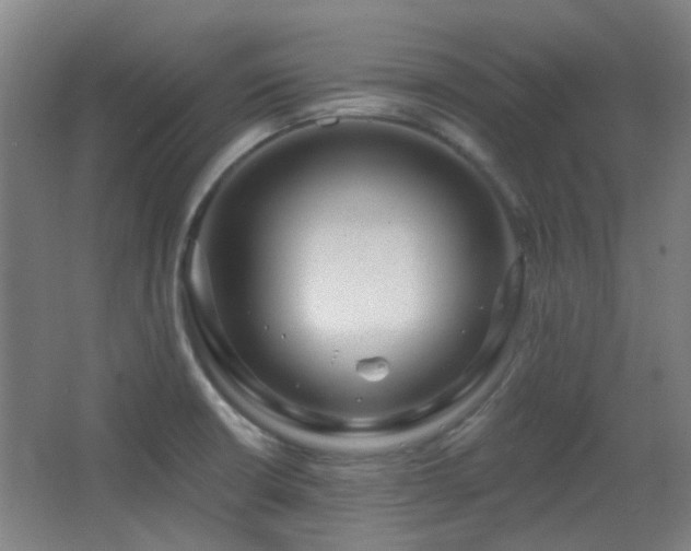 X0000067331426200603311048
