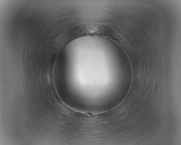 X0000067331442200603311048