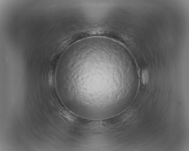 X0000067331444200603311048