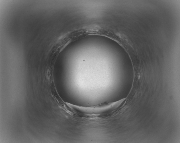 X0000067331445200603311048