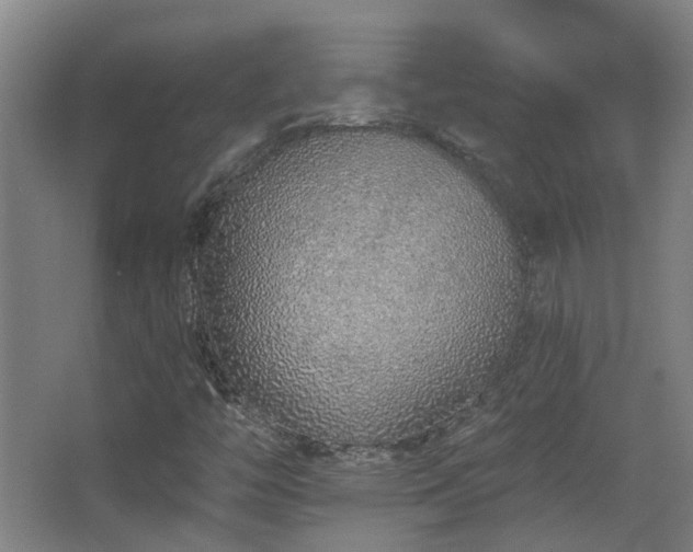 X0000067331446200603311048