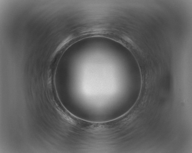 X0000067331450200603311048