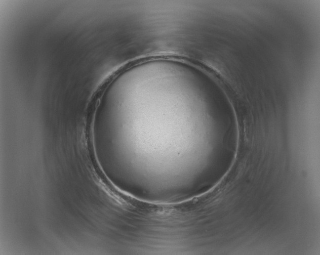 X0000067331452200603311048
