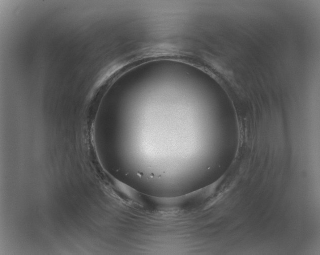 X0000067331453200603311047