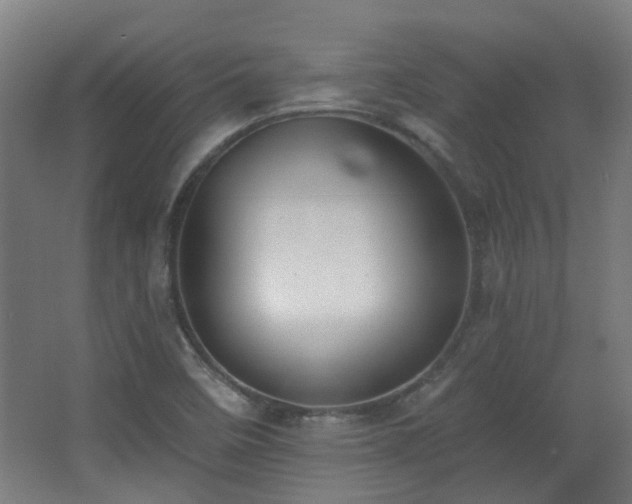 X0000067331458200603311047