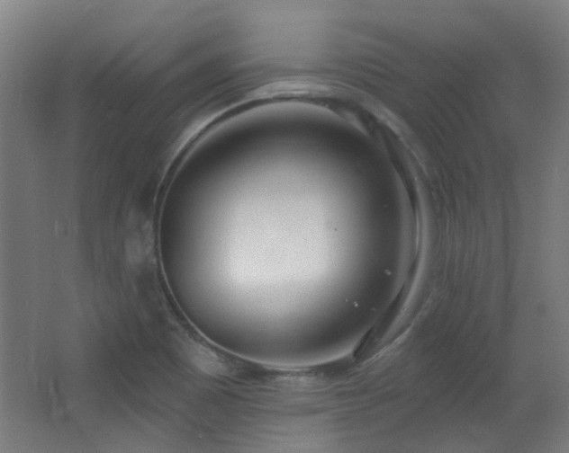 X0000067331465200603311047