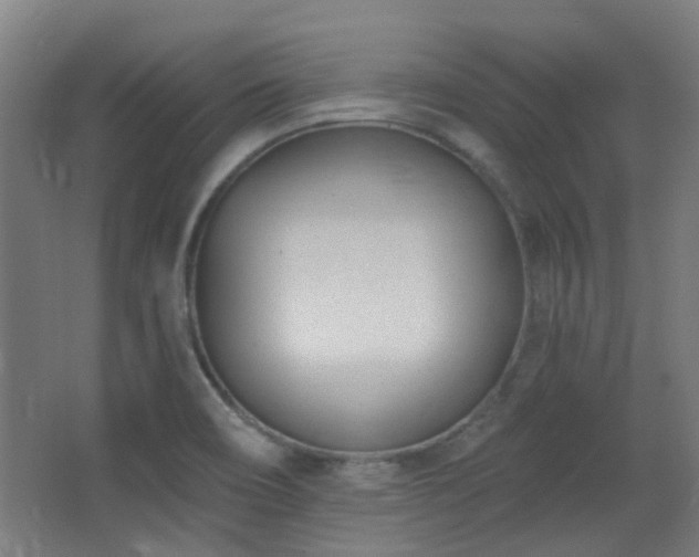 X0000067331466200603311047