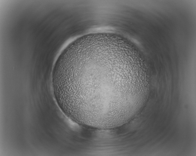 X0000067331470200603311047