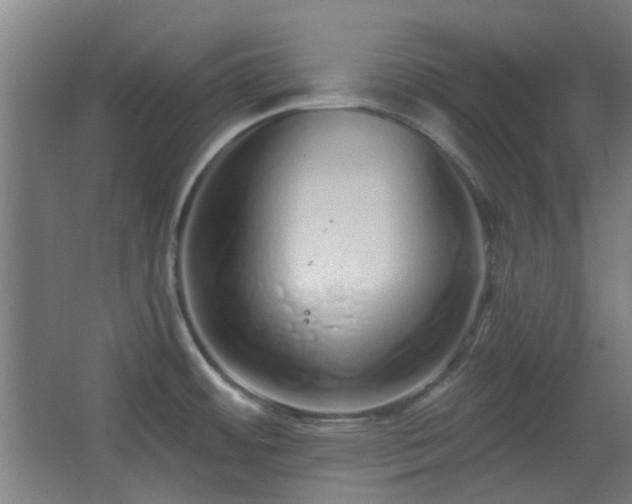 X0000067331484200603311047