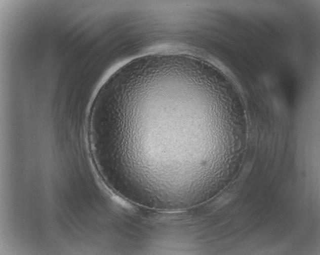 X0000067331486200603311047