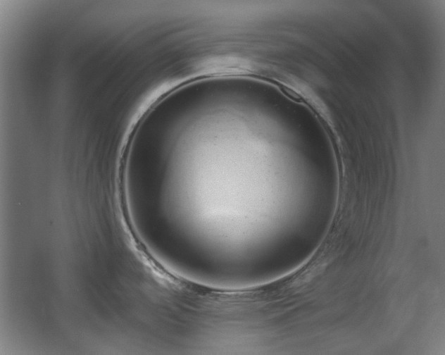 X0000067331488200603311047