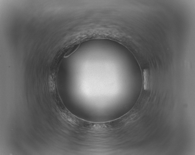 X0000067331491200603311046