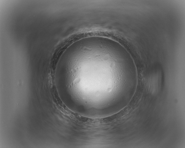 X0000067331493200603311046