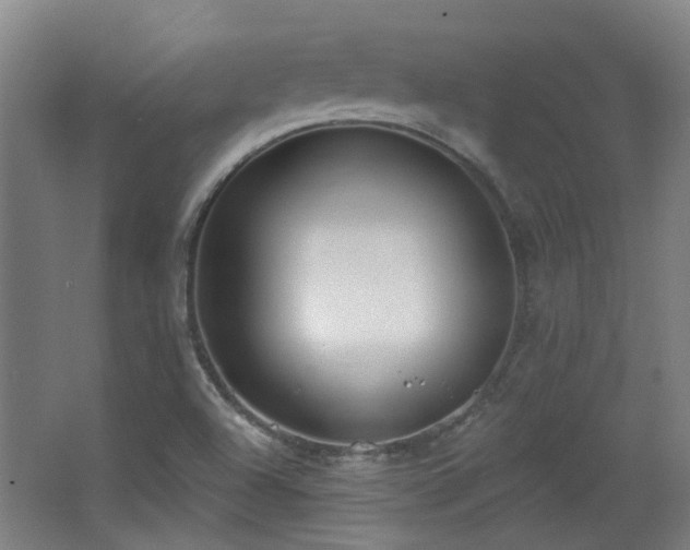 X0000067331504200603311046