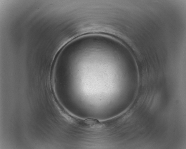 X0000067331513200603311047