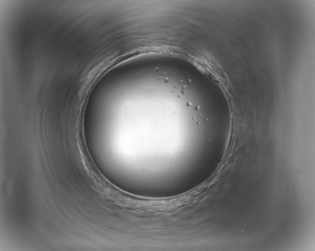 X0000067330001200604030945