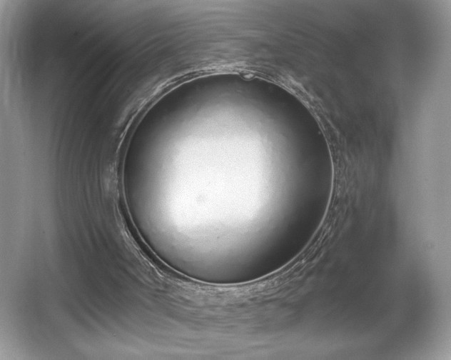 X0000067330002200604030945