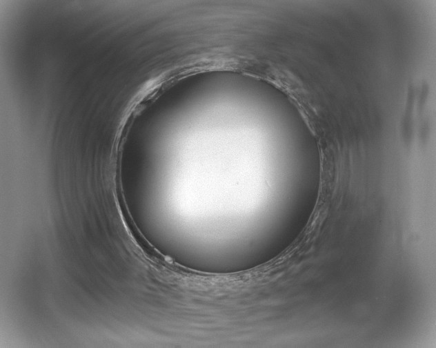 X0000067330003200604030945