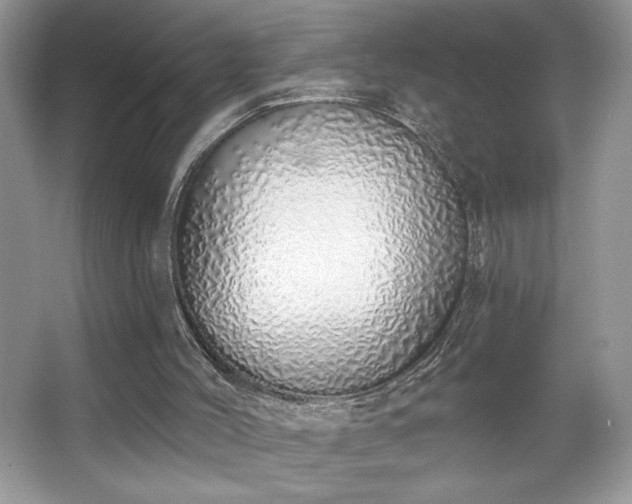 X0000067330004200604030945