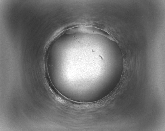 X0000067330005200604030945