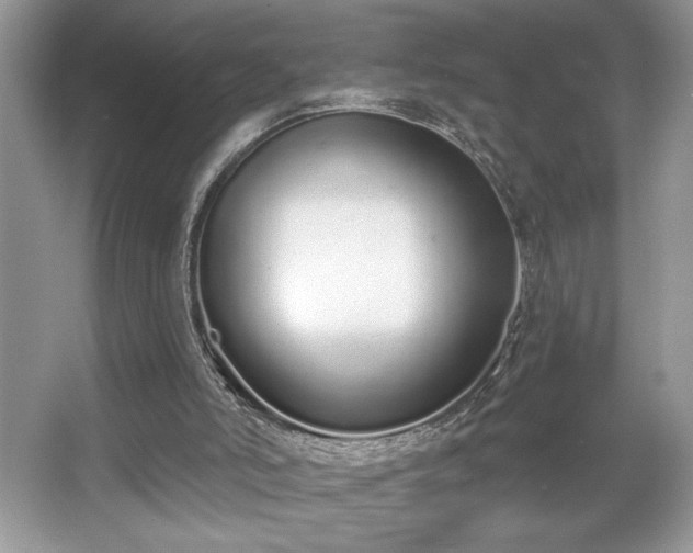 X0000067330006200604030945