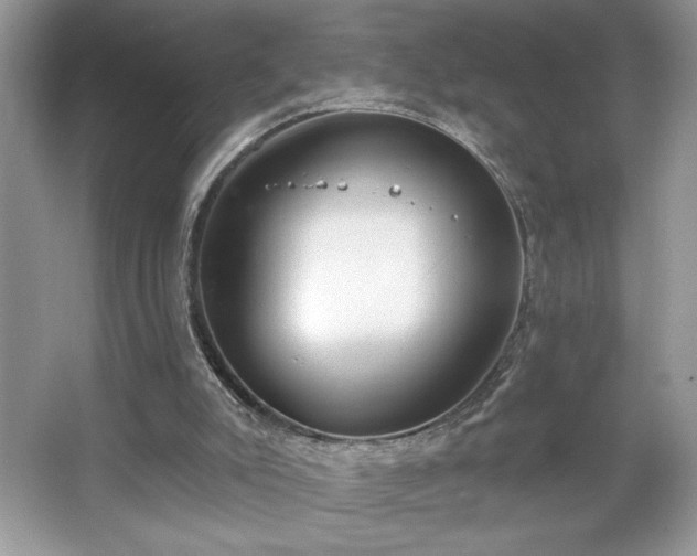 X0000067330007200604030945