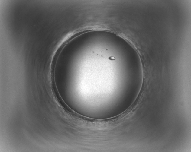 X0000067330008200604030945