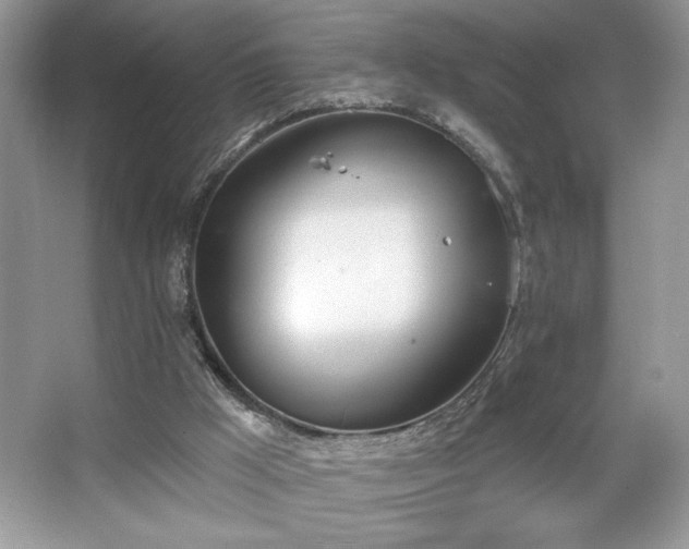 X0000067330009200604030945