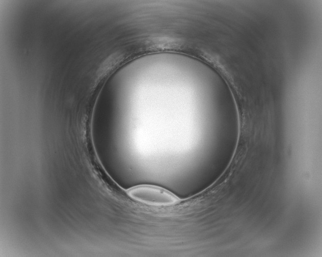 X0000067330010200604030945