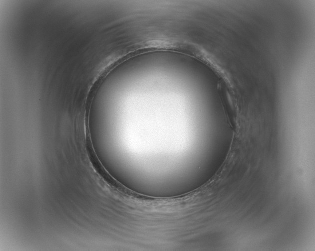 X0000067330011200604030945