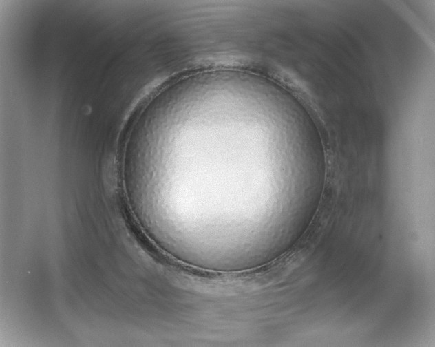 X0000067330012200604030945